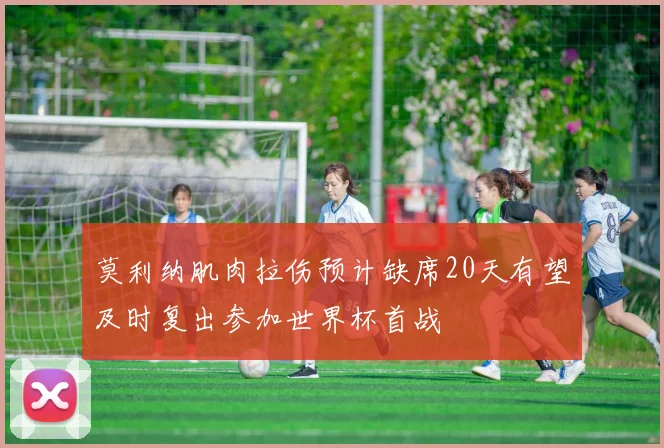 莫利纳肌肉拉伤预计缺席20天有望及时复出参加世界杯首战